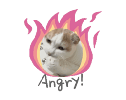 693913734