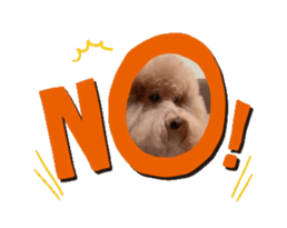 693915190