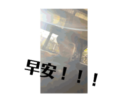 693915261