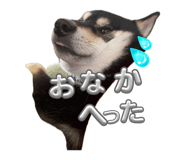693922824