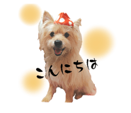 693938674