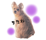 693938687