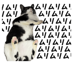 693949611