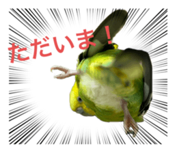 693952419