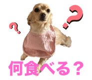 693957007