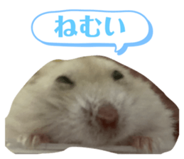 693959049