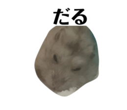 693959053