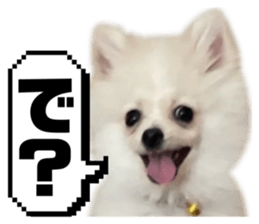 693962840