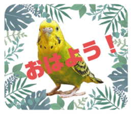 693981273