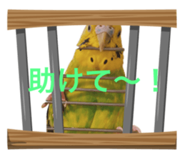 693981274