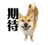693992676