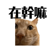 693992677