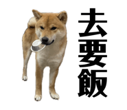 693992697