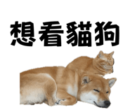 693992698
