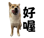 693992702