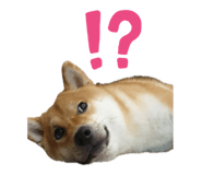 693992705