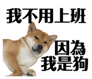 693992707