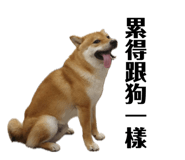 693992710