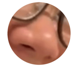 694030655