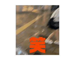 694041743