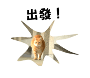 694043457