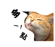694043458