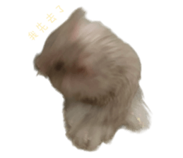 694065486