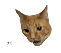 694073119
