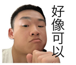 694074419