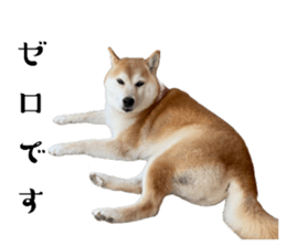 694080078