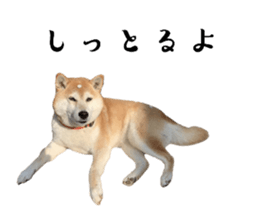 694080098