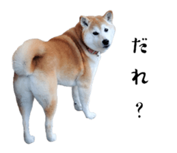694080102