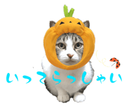 694100174