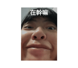 694113509