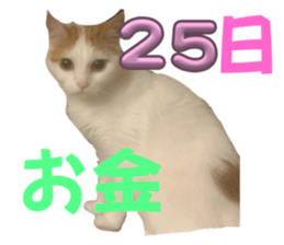 694128162