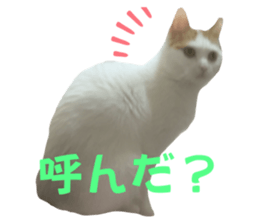 694128167