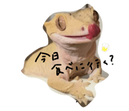 694143258