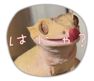 694143263