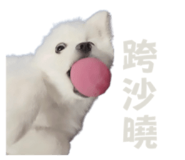 694161562
