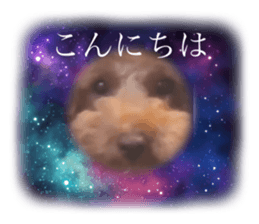 694175329