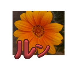 694176759