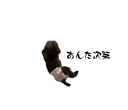 694207511