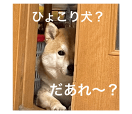 694220918
