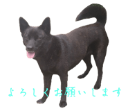 694270826