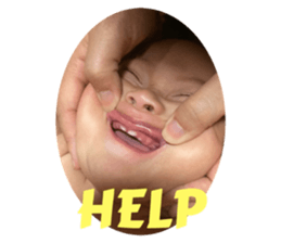 694281796