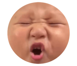 694329325