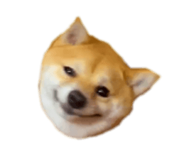 694329465