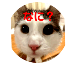 694357323