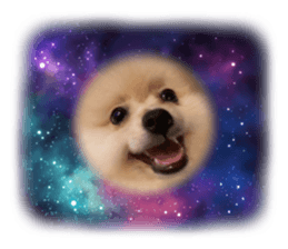 694358153