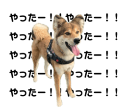 694366524